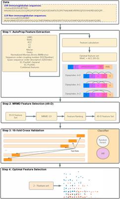 Immunoglobulin Classification Based on FC* and GC* Features